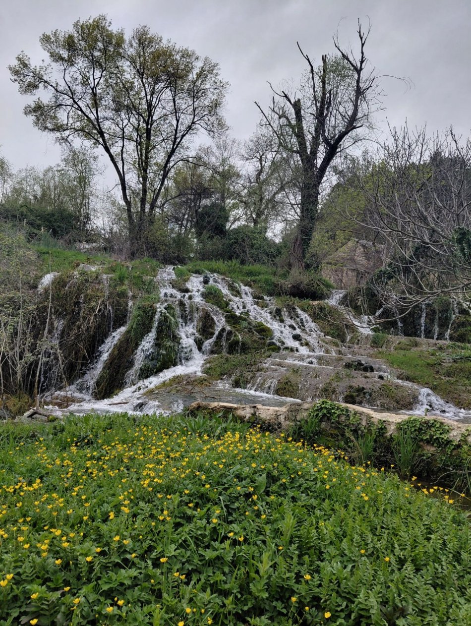 Bosna