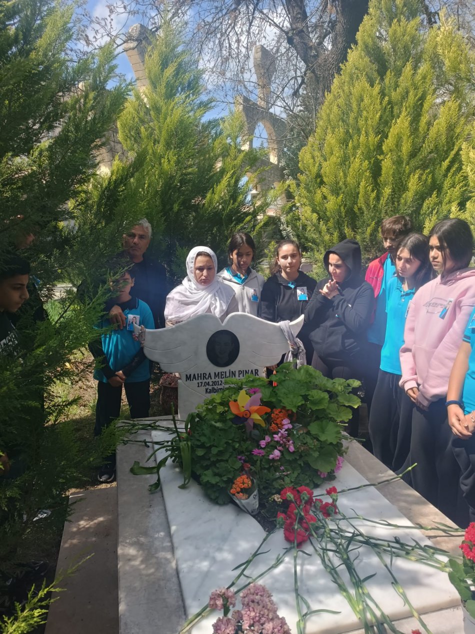 Başıboş Köpekler