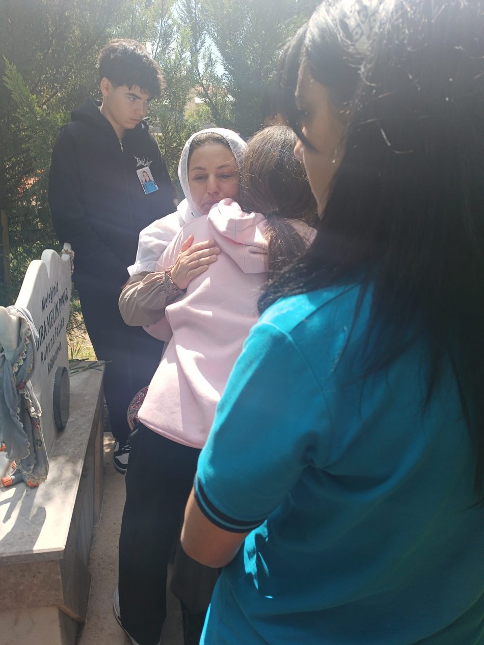 Başıboş Köpekler