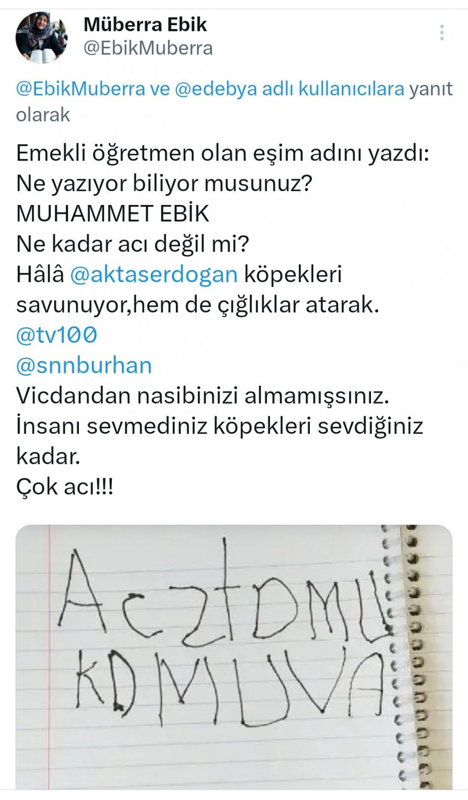 Başıboş Köpekler