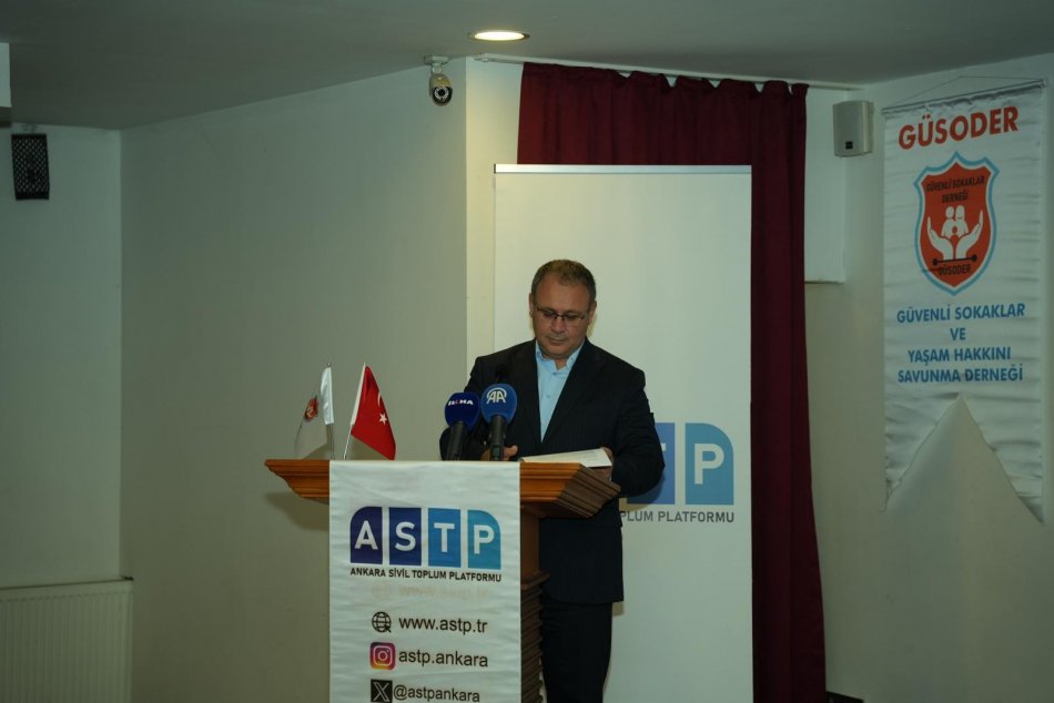Başıboş Köpekler