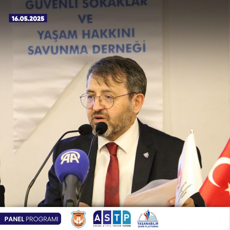 Başıboş Köpekler