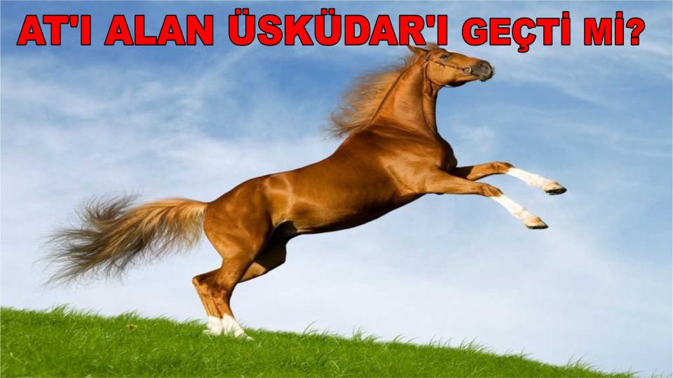 BİR “DİKTATÖR” (!) İNŞA ETMEK - Prof. Dr. Burhanettin Can