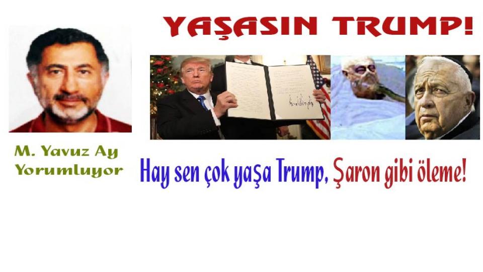 M. Yavuz Ay'dan Yeni bir Yazı: Yaşasın Trump!