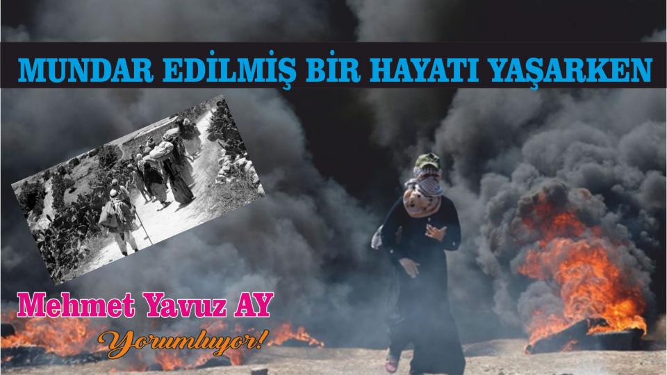 Kitaptan Yerel Değerlerin Egemenliğine/ İslâm Dünyasında Hukuk ve Bilim ../ Mehmet Yavuz AY / Nekbe Günü:Mundar Edilmiş Bir Hayatı Yaşarken/Mehmet Yavuz AY