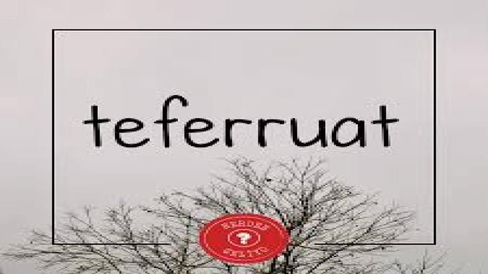 Söz konusu olan teferruatlar üzerine... - Yıldıray Oğur