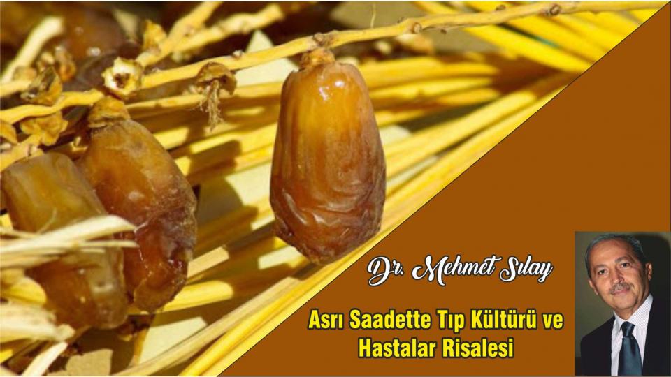 Dr. MEHMET SILAY / Aksa Tufanı ve Gazze / Asr-ı Saadette Tıp Kültürü ve Hastalar Risalesi - Dr. Mehmet SILAY