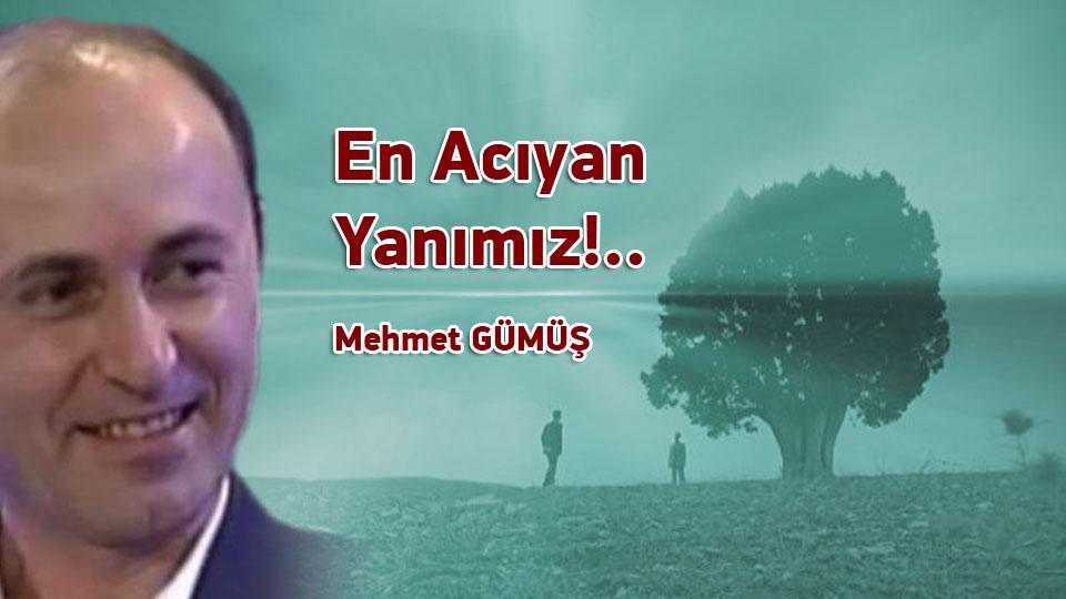 MEHMET GÜMÜŞ/En Acıyan Yanımız!...