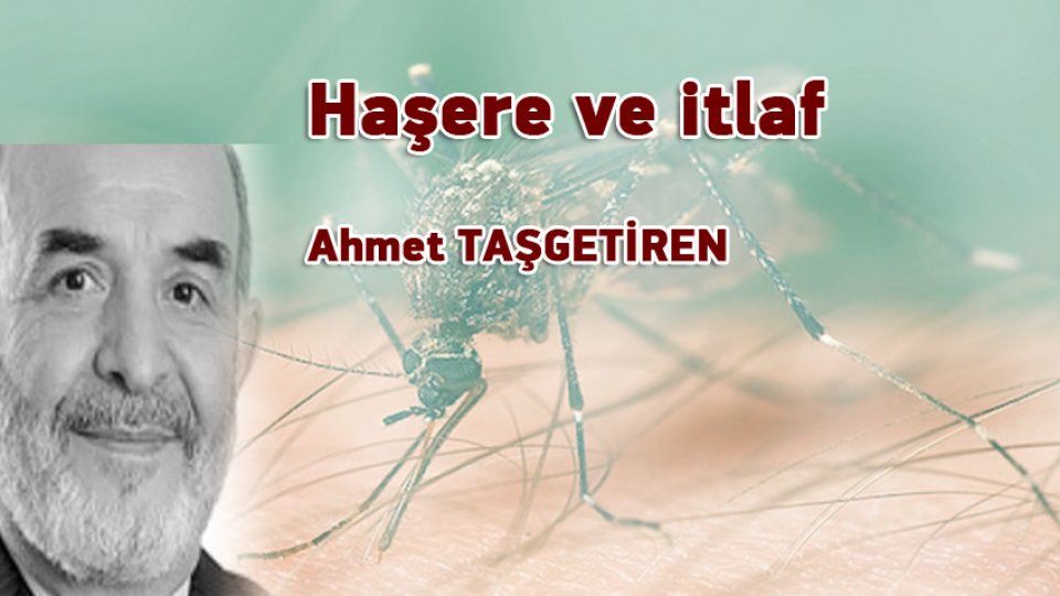 Haşere ve itlaf