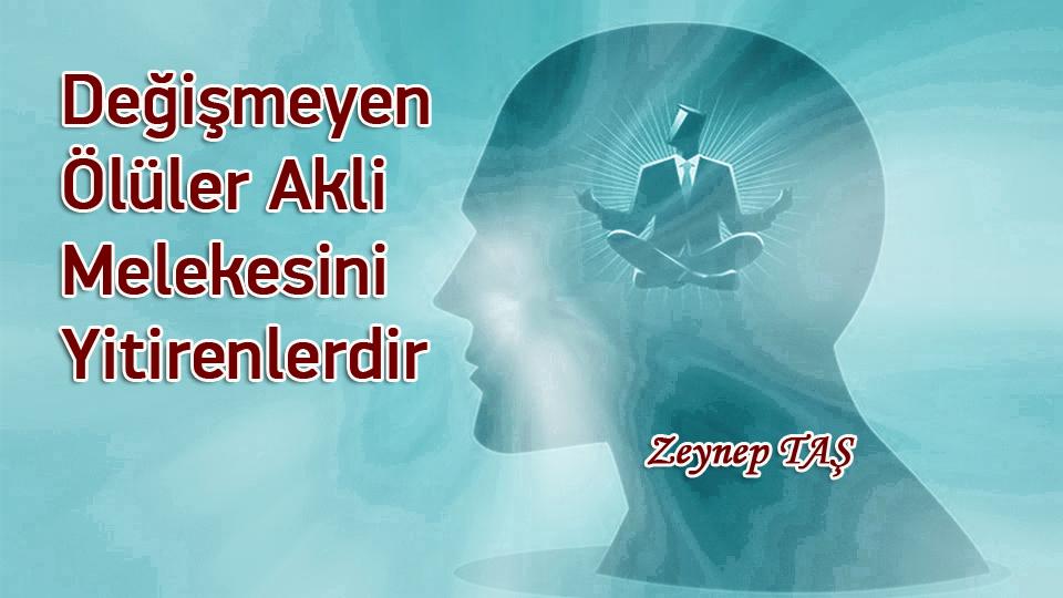 Nereye ve kime aidiyet ile bağlanmak gerektiğini bilmek-Zeynep Taş / Değişmeyen Ölüler Akli Melekesini Yitirenlerdir / Zeynep Taş