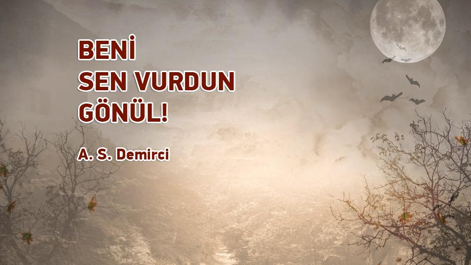 BEN AŞKA İNANMADIM! / A.S. DEMİRCİ / BENİ SEN VURDUN GÖNÜL! / A. S. Demirci
