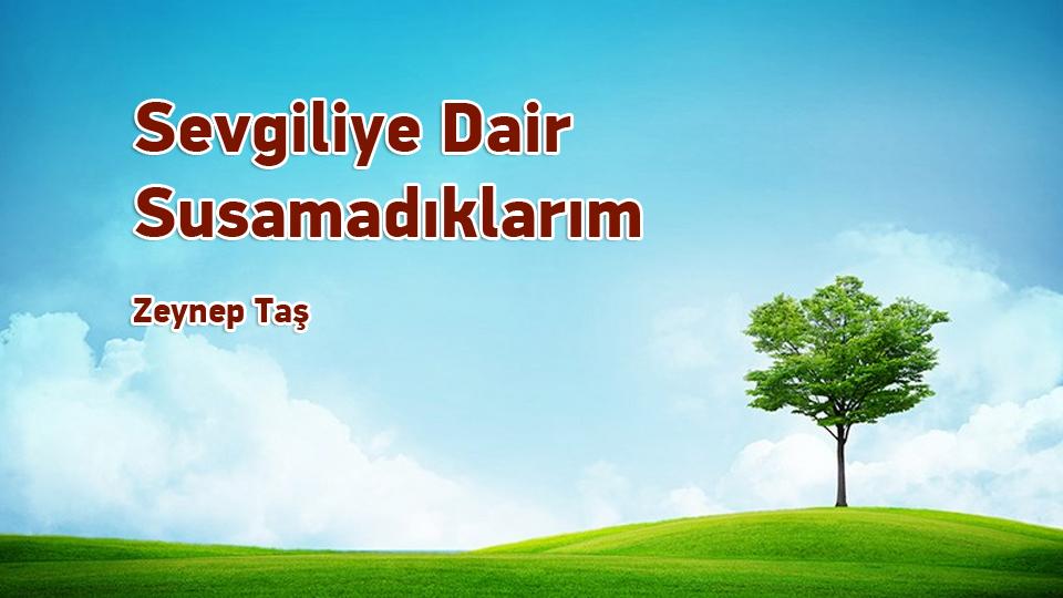 Nereye ve kime aidiyet ile bağlanmak gerektiğini bilmek-Zeynep Taş / Sevgiliye Dair Susamadıklarım / Zeynep Taş