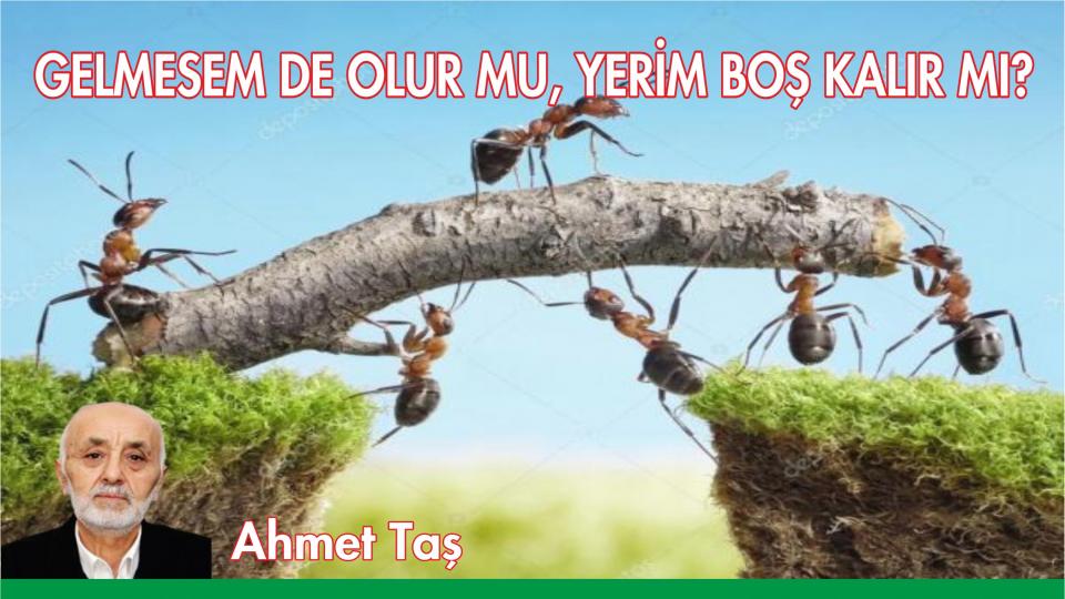 ARTAN İNTİHAR OLAYLARI VE YALNIZ ÖLÜMLER / Ahmet TAŞ / GELMESEM DE OLUR MU, YERİM BOŞ KALIR MI?-AHMET TAŞ