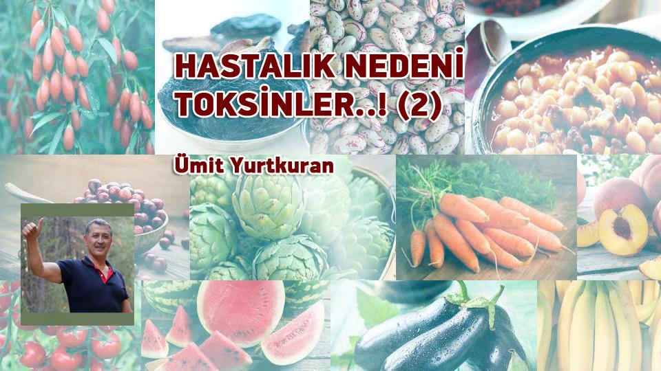KİLO ARTIŞINA DESTEK OLMAYIN-ÜMİT YURTKURAN / HASTALIK NEDENİ TOKSİNLER..! (2)/ Ümit Yurtkuran