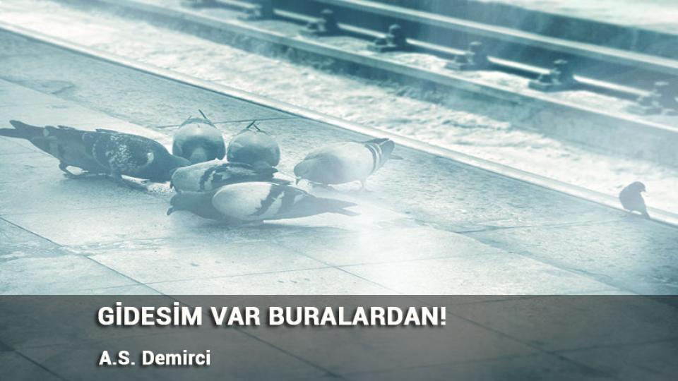 ‘Hoşça Kal’ Demiyorum! / A.S. DEMİRCİ / GİDESİM VAR BURALARDAN! / A.S. Demirci
