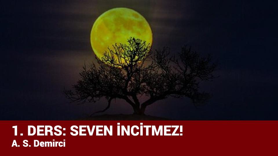 BEN AŞKA İNANMADIM! / A.S. DEMİRCİ / I. DERS: SEVEN İNCİTMEZ! / A. S. Demirci