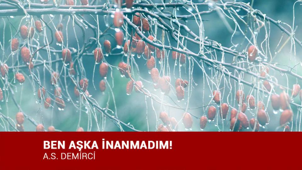 ‘Hoşça Kal’ Demiyorum! / A.S. DEMİRCİ / BEN AŞKA İNANMADIM! / A.S. DEMİRCİ