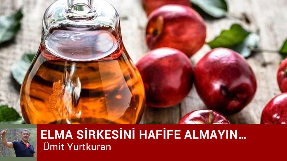 KİLO ARTIŞINA DESTEK OLMAYIN-ÜMİT YURTKURAN / ELMA SİRKESİNİ HAFİFE ALMAYIN… / Ümit Yurtkuran