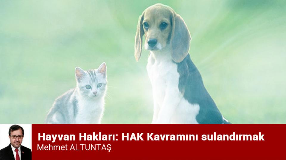 Şovenizm Deprem Altında | MEHMET ALTUNTAŞ / Hayvan Hakları: HAK Kavramını sulandırmak / Mehmet ALTUNTAŞ