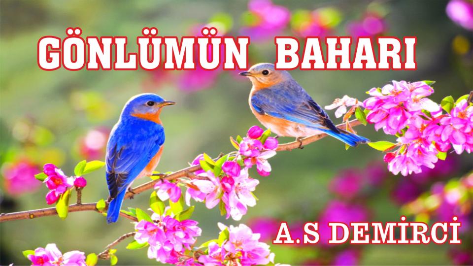 GÜN AKŞAMLIDIR ! / A.S. DEMİRCİ / A.S DEMİRCİ/GÖNLÜMÜN BAHARI