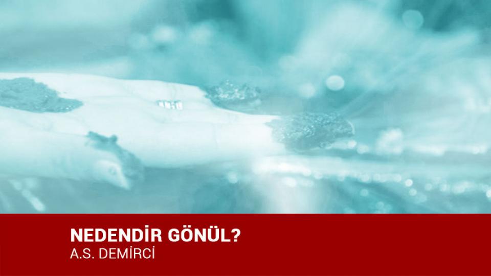 ‘Hoşça Kal’ Demiyorum! / A.S. DEMİRCİ / NEDENDİR GÖNÜL? / A.S. DEMİRCİ