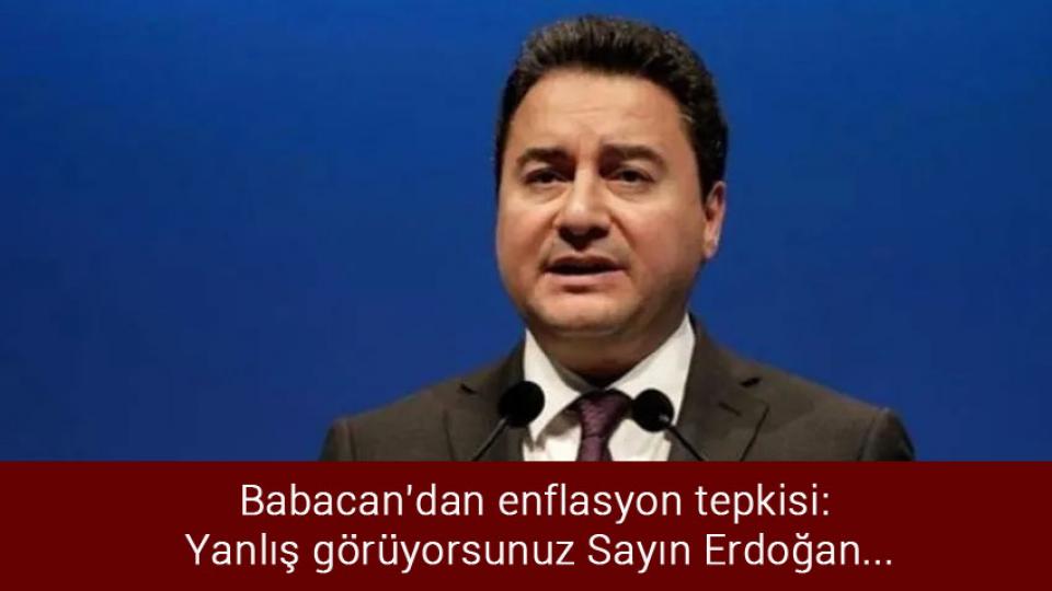 Babacan'dan enflasyon tepkisi: Yanlış görüyorsunuz Sayın Erdoğan...