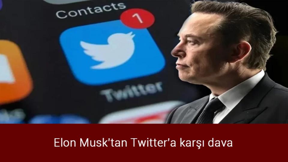 Festival denilerek aklanmaya çalışan katliamda yüzlerce balina ve yunus öldürüldü / Elon Musk'tan Twitter'a karşı dava