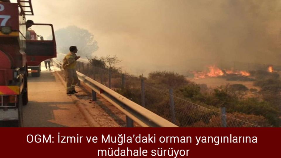 OGM: İzmir ve Muğla'daki orman yangınlarına müdahale sürüyor