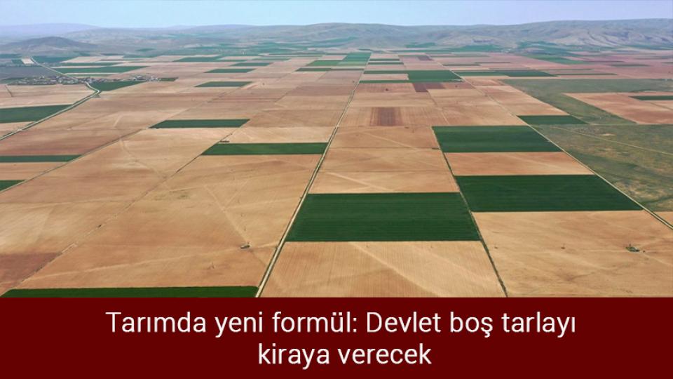 Benzine indirim otogaza zam geldi / Tarımda yeni formül: Devlet boş tarlayı kiraya verecek