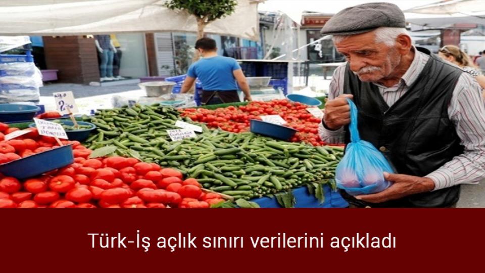 Festival denilerek aklanmaya çalışan katliamda yüzlerce balina ve yunus öldürüldü / Türk-İş açlık sınırı verilerini açıkladı