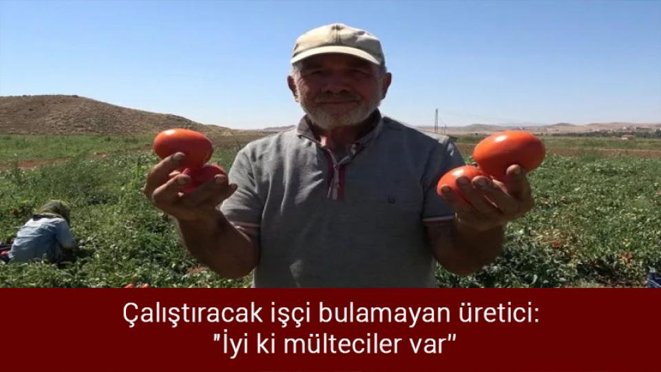 Türkiye, BM İnsani Gelişme Endeksi raporunda 191 ülke içinde 48. sırada yer aldı / Çalıştıracak işçi bulamayan üretici: "İyi ki mülteciler var”