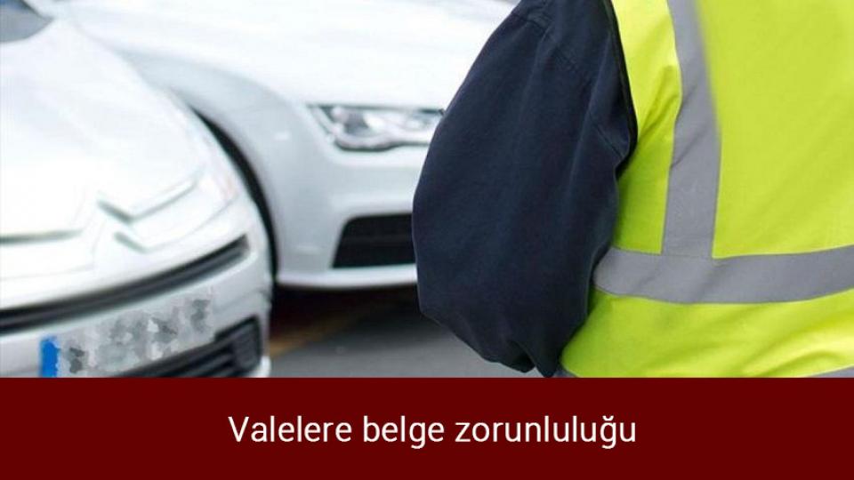Türkiye'nin yüzde 10'luk mevcut yaşlı nüfusu oranı 2050'de yüzde 20'ye yükselecek / Valelere belge zorunluluğu