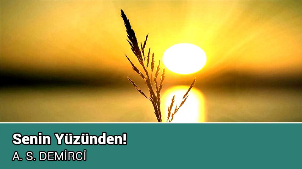 Senin Yüzünden! / A. S. DEMİRCİ
