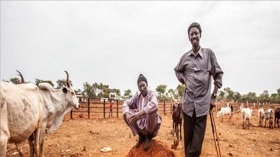 Sahel Bölgesinde 34,5 Milyondan Fazla Kişi Acil Yardıma İhtiyaç Duyuyor