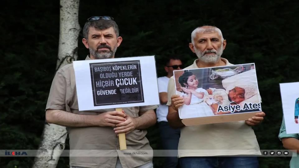 Bir Öğretmenin Sessiz Çığlığı: Muhammet Ebik Vakası ve Güvenli Sokak Hakkı / TBMM'ye "Sokakta sıfır başıboş köpek politikası" talebi