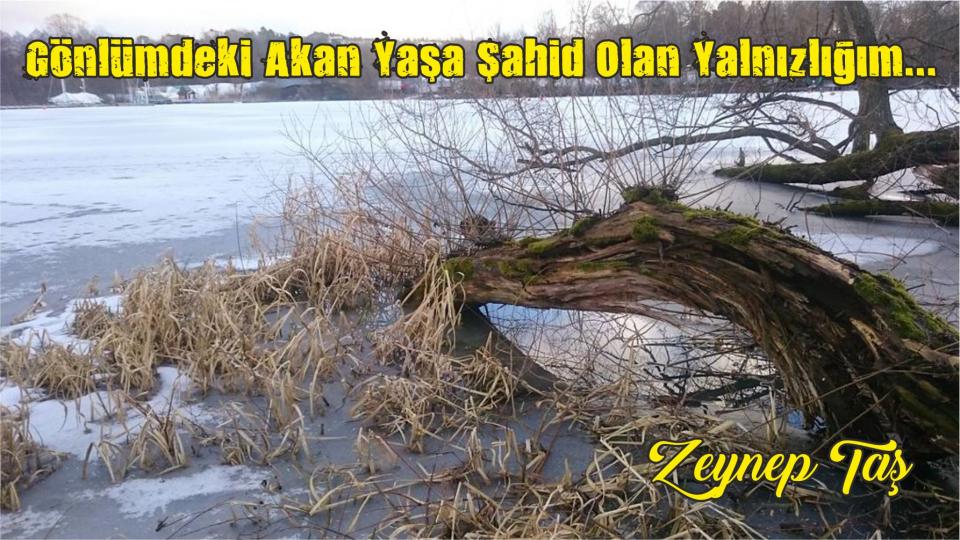 Tekfir Kılıcını Kınından Çıkarma|Zeynep Taş / İçimin Cız Ettiği Yer -Zeynep Taş