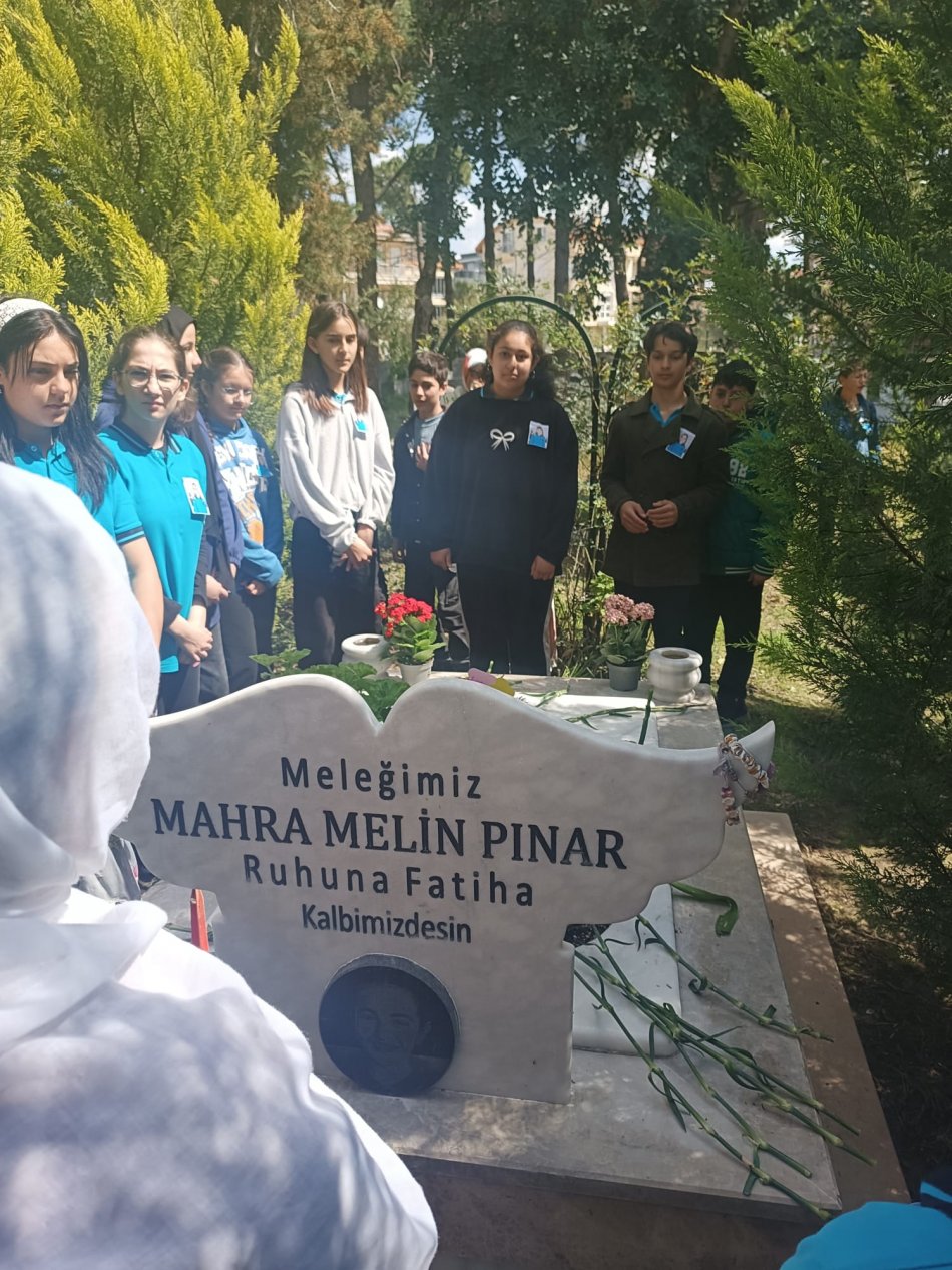 BaşıboşKöpekler