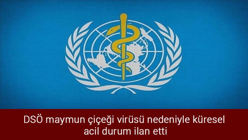Her Taraf / Türkiye'nin habercisi / DSÖ maymun çiçeği virüsü nedeniyle küresel  acil durum ilan etti