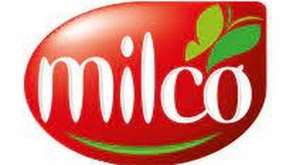 Güney Afrikalı işçiler, Yahudi şirketi Milco'yu protesto etti