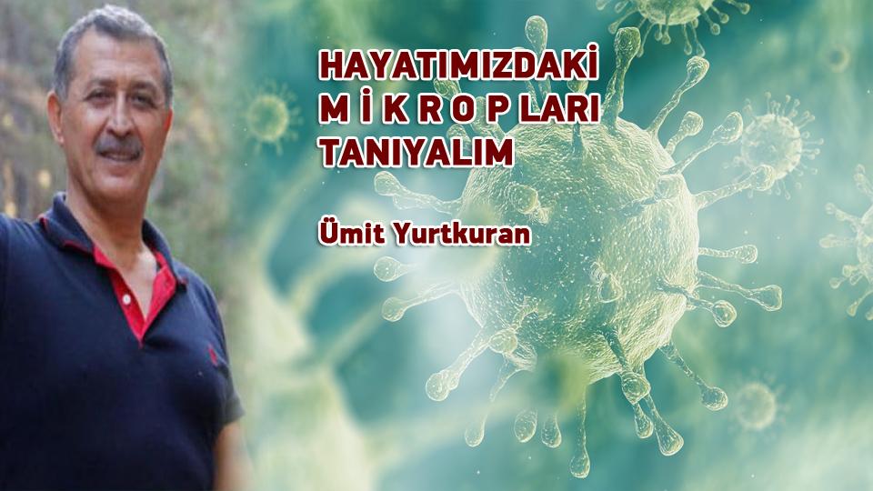 Her Taraf - Türkiyenin habercisi / HAYATIMIZDAKİ M İ K R O P LARI TANIYALIM