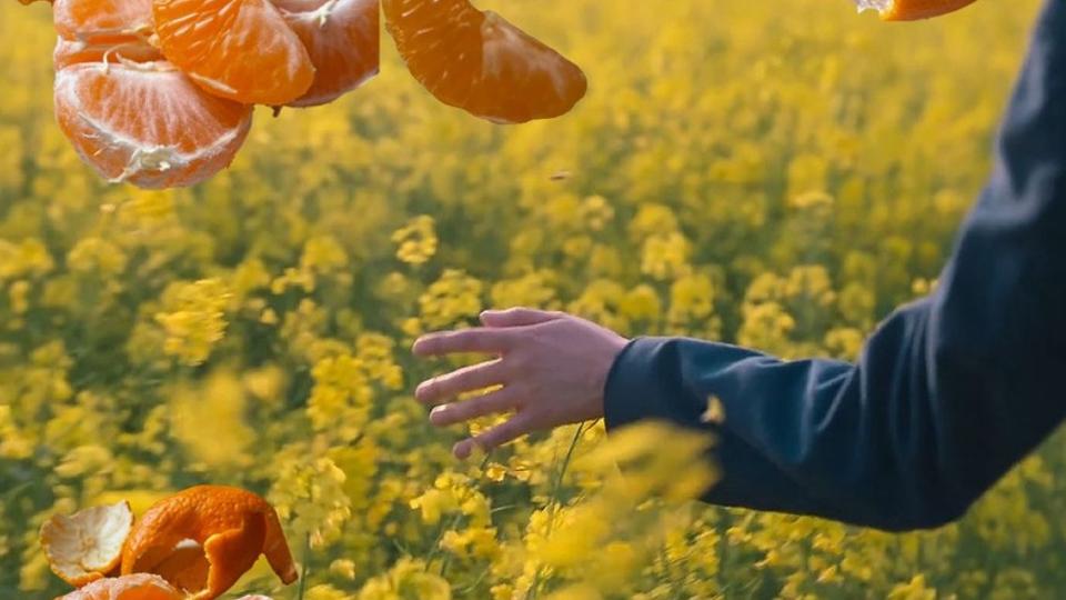 Herkes Sadece Kendi Hikâyesinin Başrolünde / Esra Özer Duru