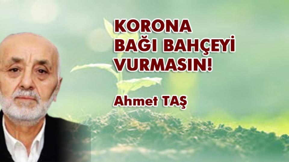BALIK YEMEYECEKSİN-Ahmet Taş / KORONA BAĞI BAHÇEYİ VURMASIN! / Ahmet TAŞ