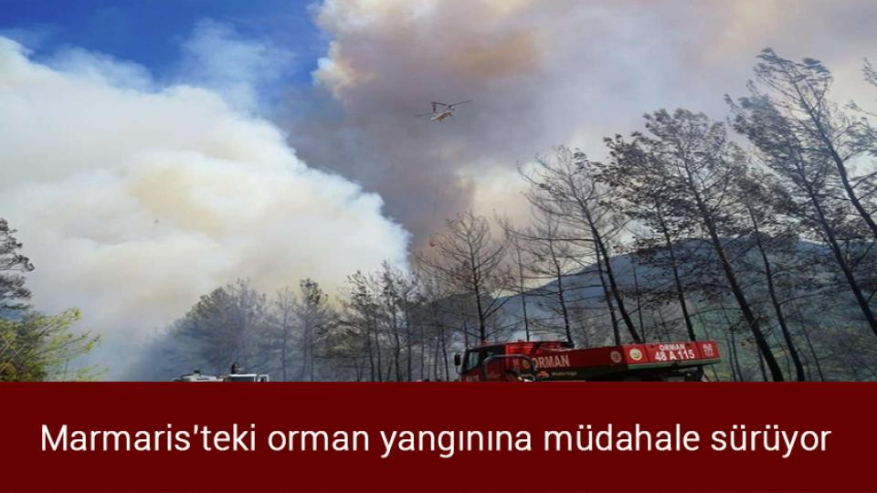 Uluslararası kuruluşlardan "küresel gıda krizinin acilen ele alınması" çağrısı / Marmaris'teki orman yangınına müdahale sürüyor