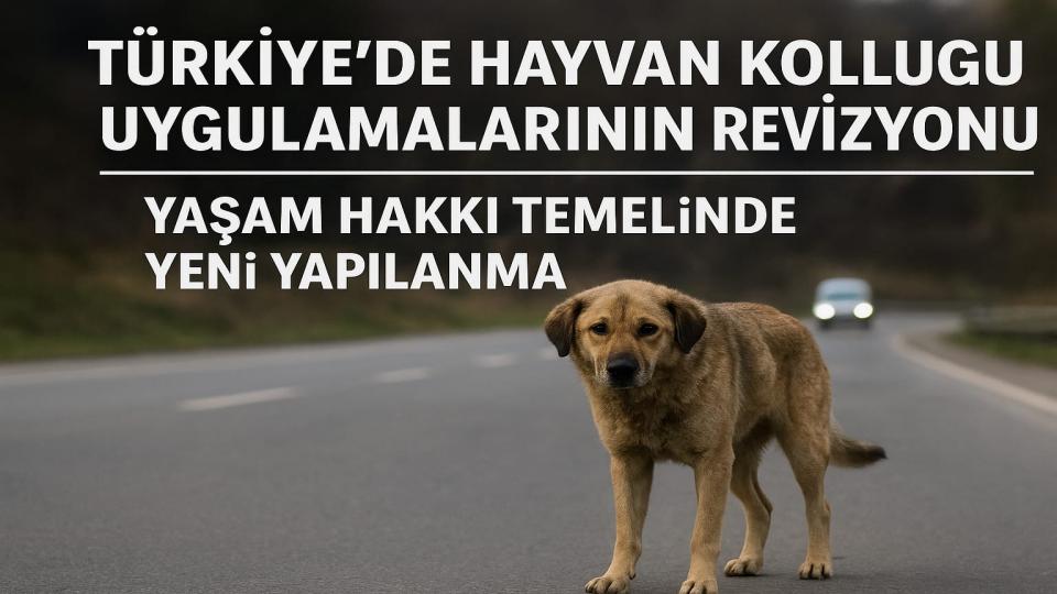 Türkiye’de Hayvan Kolluğu Uygulamalarının Revizyonu: Yaşam Hakkı Temelinde Yeni Yapılanma / Mehmet Altuntaş